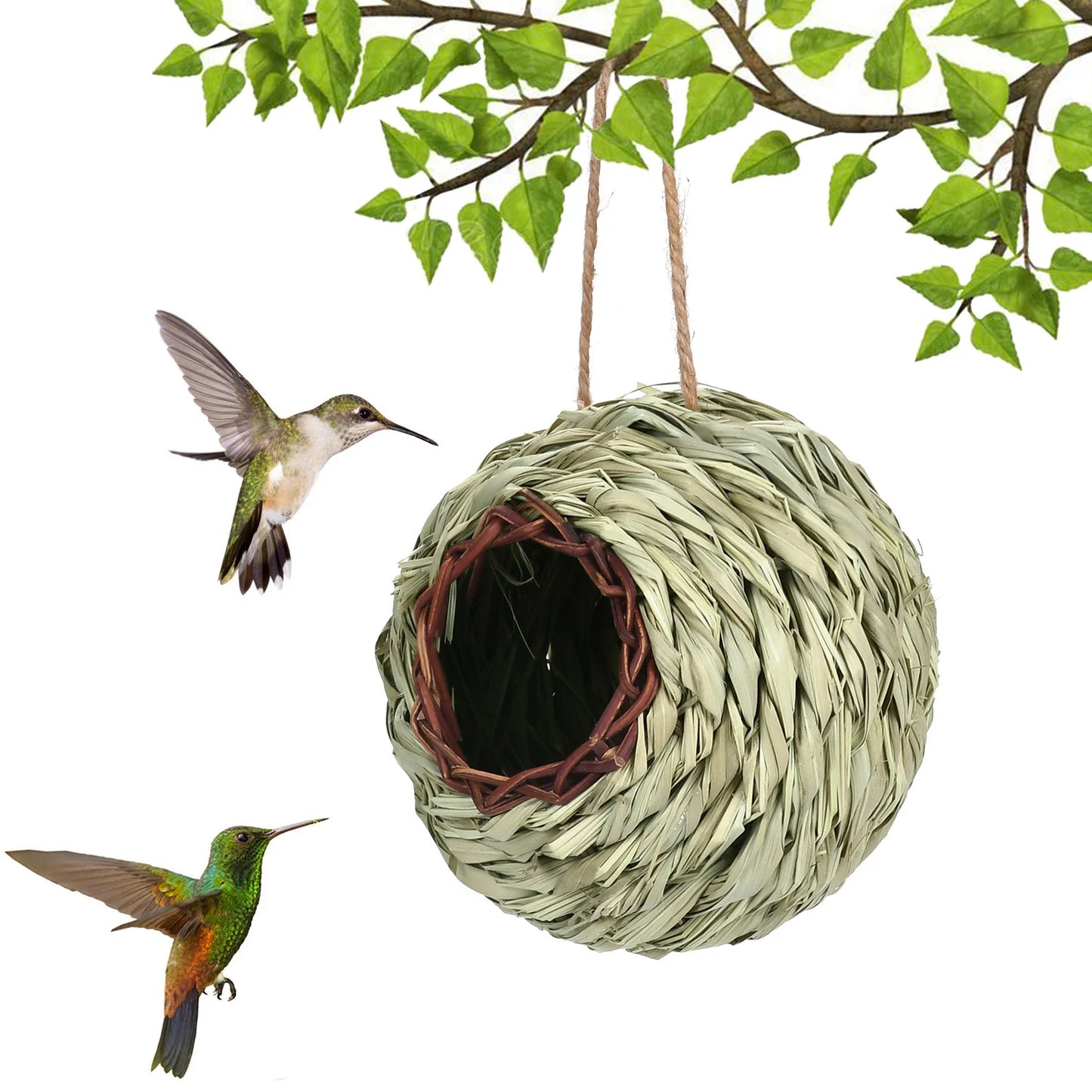 Hummingbird Nest House