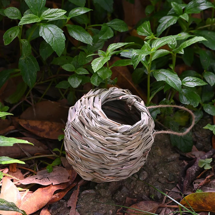 Hummingbird Nest House