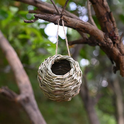 Hummingbird Nest House