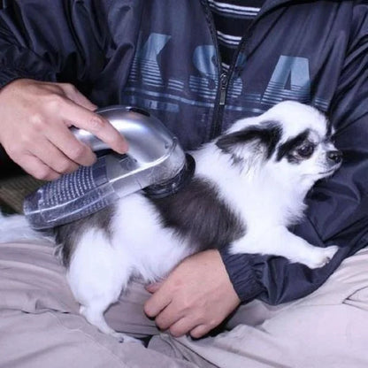 Best Handheld Vacuum For Pet Hair