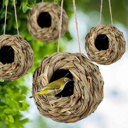 Hummingbird Nest House