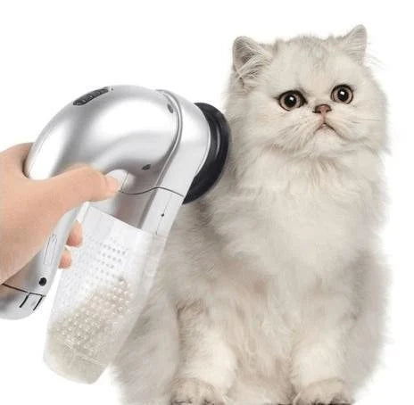 Best Handheld Vacuum For Pet Hair